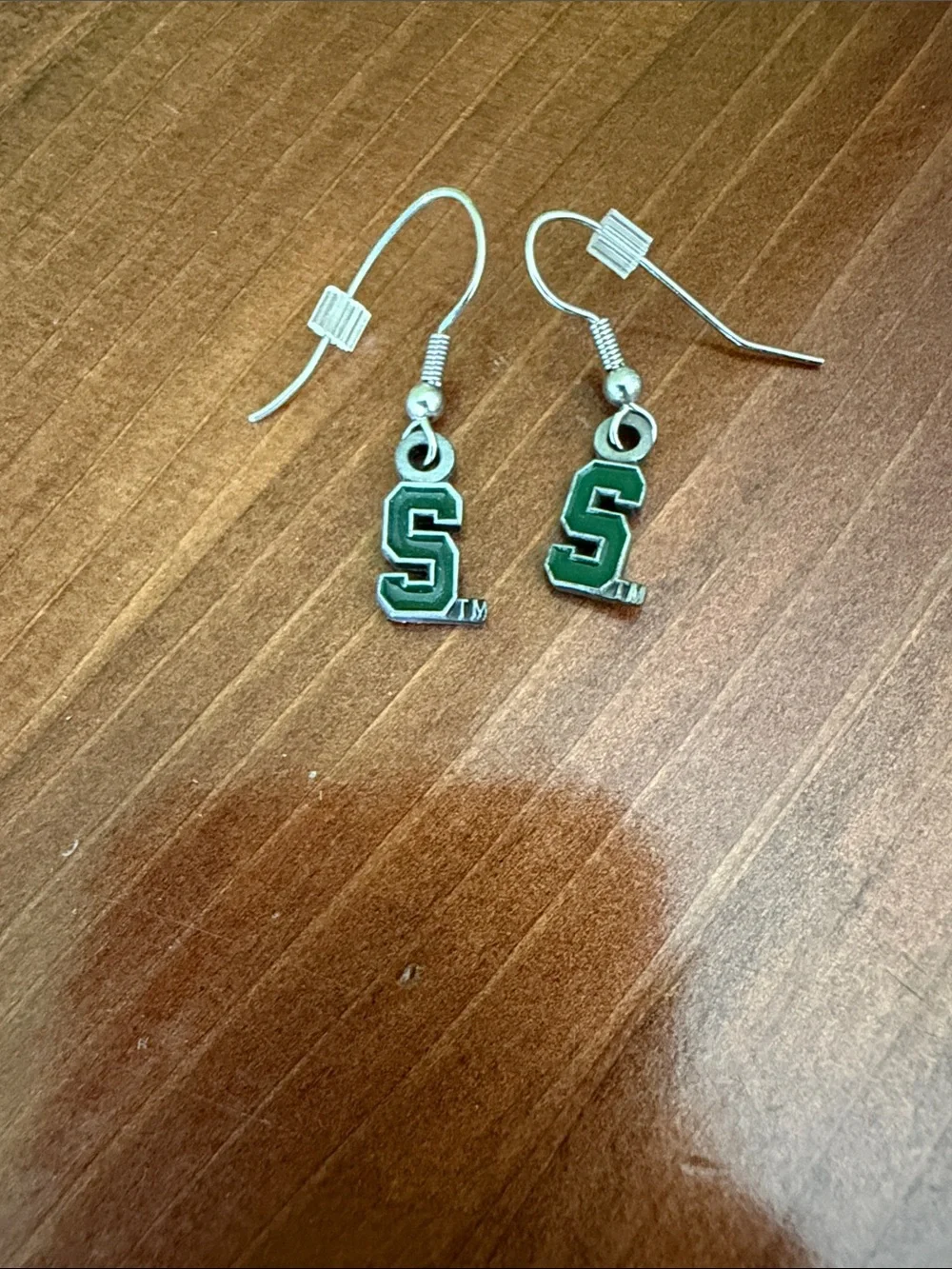 Michigan State University Necklace and Earrings